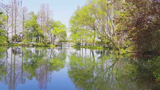 杭州西湖春天风景