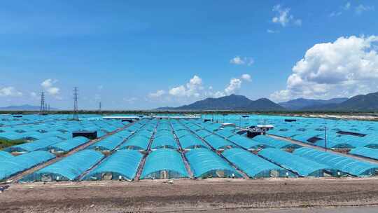 农业养殖基地虾航拍乡村振兴大气震撼