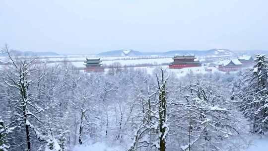 雪后古建筑群与银装素裹的树林景观