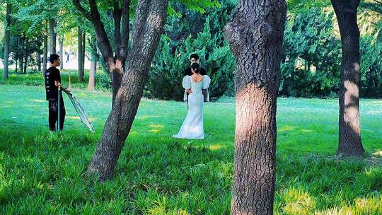 夏日公园绿草坪上的婚纱摄影