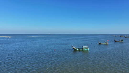 大海风车海鸟旅游景点