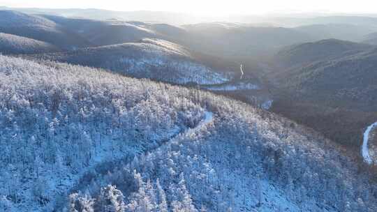 大兴安岭原始森林高山雾凇