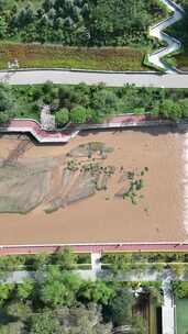 竖屏航拍青海西宁南川河风光带中心广场