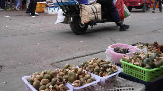 云南野生菌交易市场