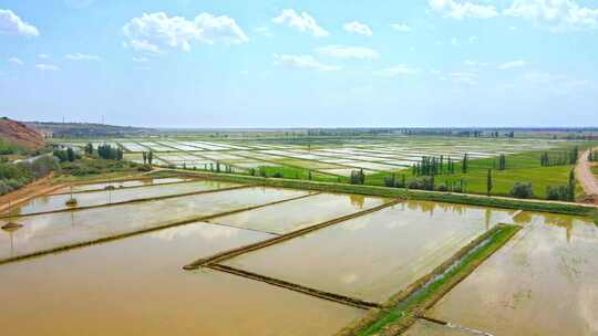 农业农田稻田水稻种植水利灌溉