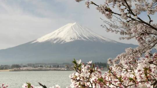 富士山景色