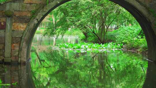杭州西湖茅家埠通利桥古桥春天风景