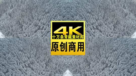 青海互助龙王山树木雪山航拍视频高清在线视频素材下载