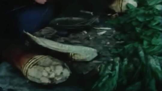 70年代80年代上海 菜市场