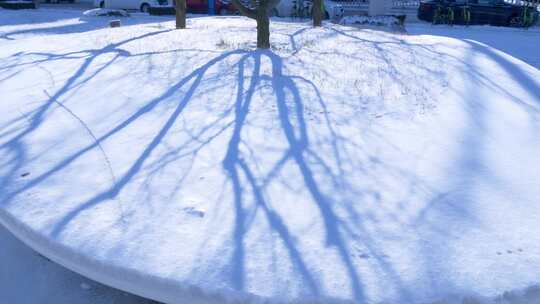 阳光下雪地树的影子延时