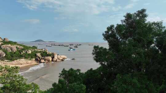 海边风景大海自然风光大海风吹松树风吹树冠