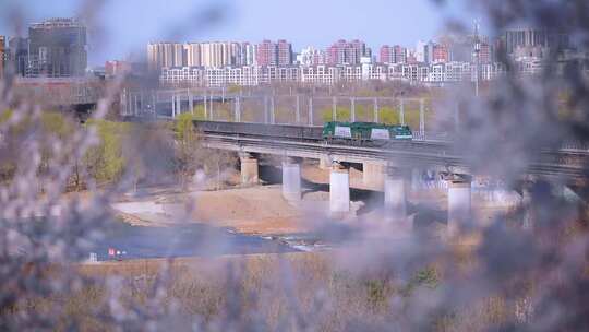 铁路桥上行驶的火车