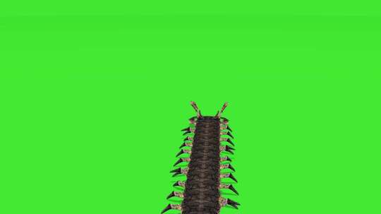 3D蜈蚣动作绿屏抠像