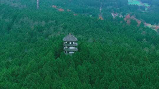 航拍翠云廊森林山林风景