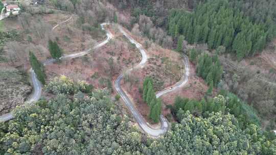 通过森林山口蜿蜒道路的鸟瞰图，葡萄牙。