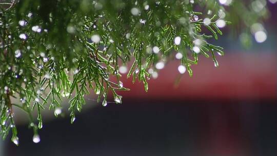 古建筑屋檐雨滴