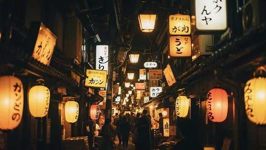 日式街道夜晚灯笼招牌景象