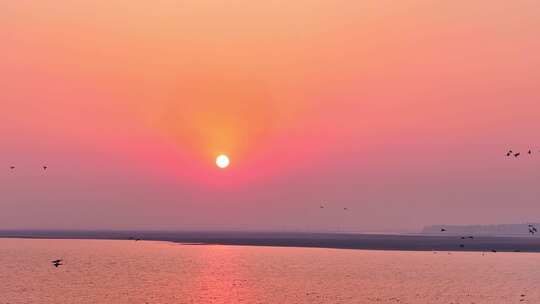 鄱阳湖湿地候鸟自然风光