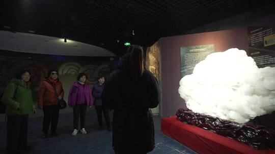 游客在地质博物馆中参观听讲解