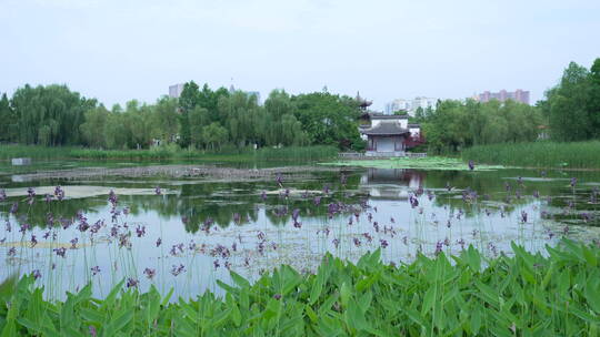 武汉硚口区园博园北京园风景