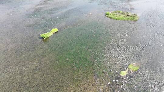 航拍飞鸟水面生态鸟儿跟拍鸟飞江面溪流河面