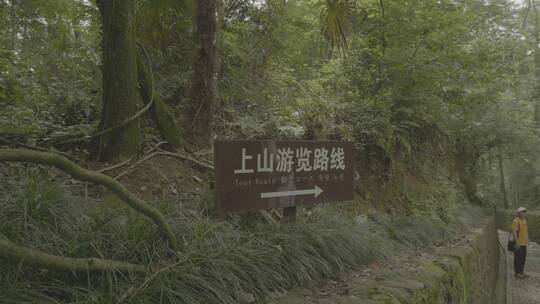 桐庐大奇山自然风景区视频素材模板下载