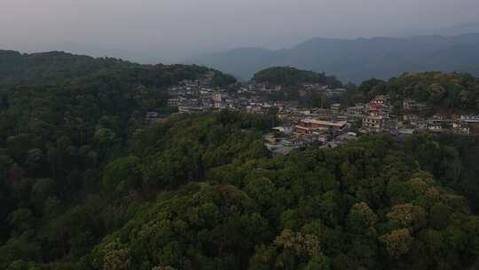 古村落古茶林森林山林树林