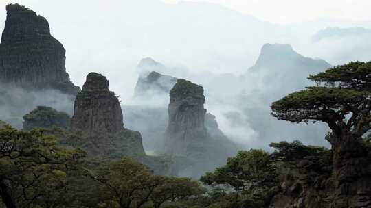 奇峰异石 群山连绵 古木参天 山水画卷