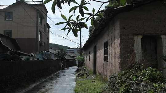 雨后 村庄道路