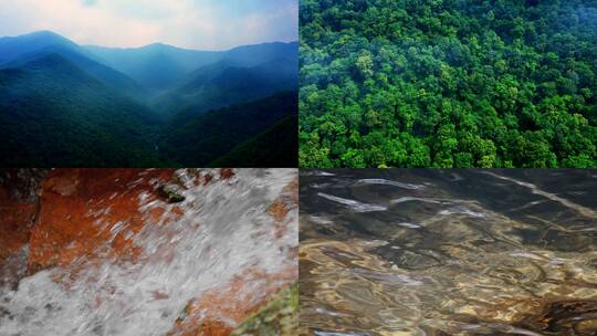 森林 雨景 溪流高清在线视频素材下载