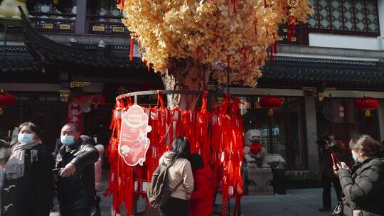 春节新年红绸带挂在金黄色银杏树上人群拥挤