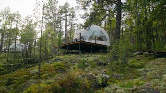 蒙古包，林地，Glamping，宾馆