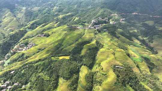 梯田航拍