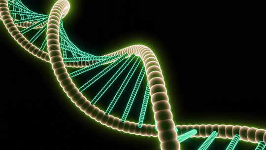 DNA结构双螺旋的数字插图