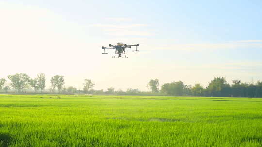 植保无人机在农业中的应用视频素材模板下载