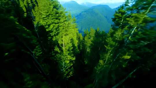 唯美原始雪山森林道路 自然生态穿越航拍机