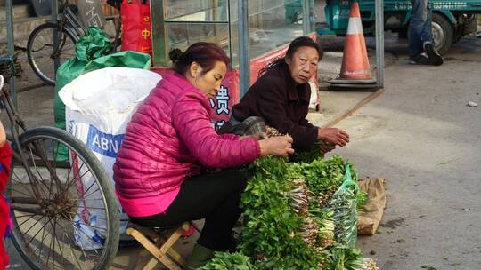 东北农村春天山野菜集市