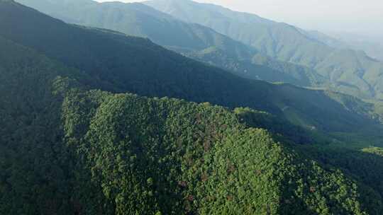 航拍青山森林自然风景