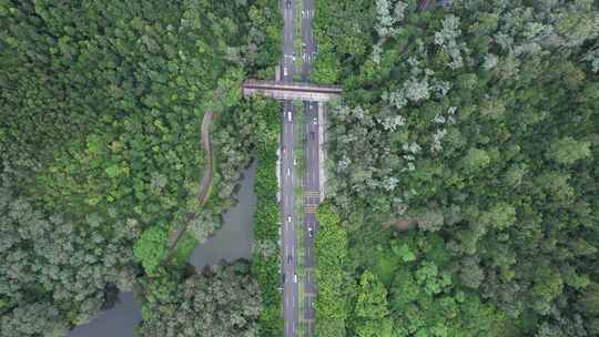 林间公路车流航拍