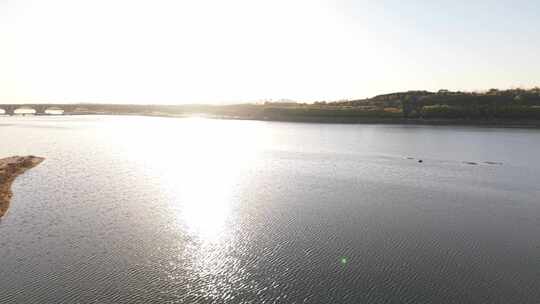 湿地保护区 鸟 复兴大街 滹沱河 湿地 初冬