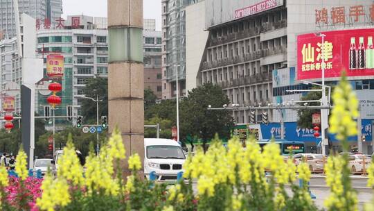 开满鲜花的城市道路