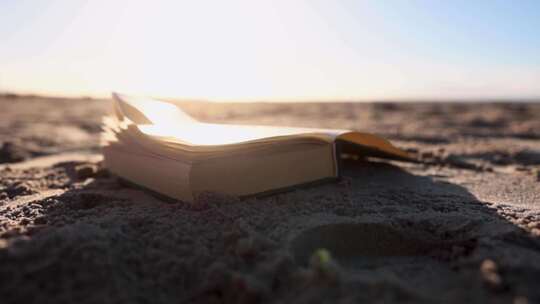 Buch am Strand von W