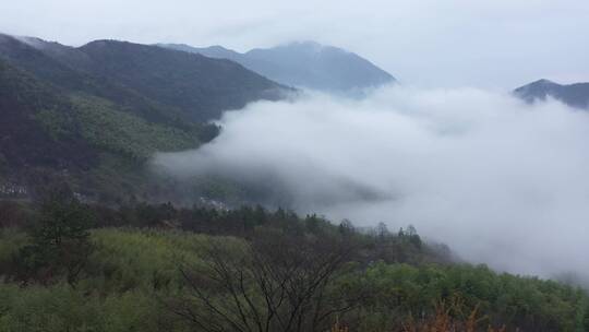 云海 山顶云海 云 山 群山