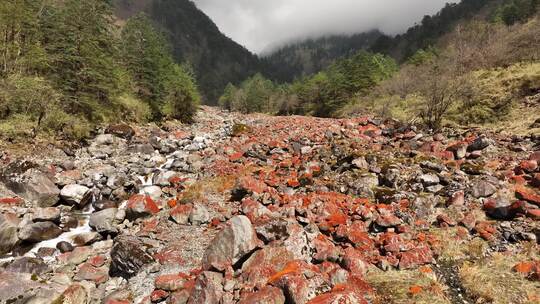 二郎山喇叭河红石滩