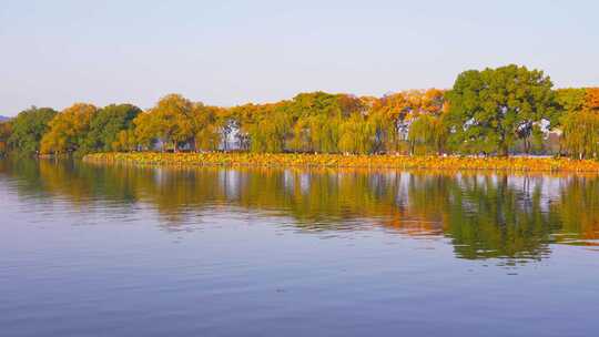 杭州西湖苏堤秋天风景