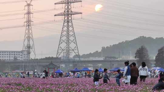 中国广东省中山市南朗街道崖口花海