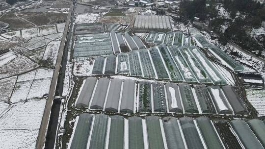 航拍冬天雪景视频素材模板下载