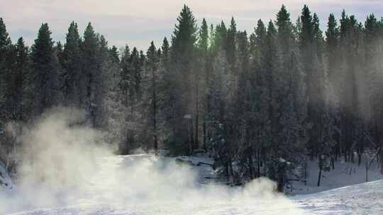 东北唯美下雪雪花浪漫阳光下雪花雪景视频素材模板下载