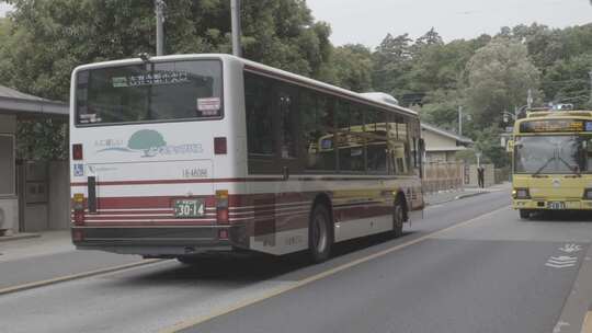 日本道路车流