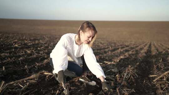 农妇检查她的田地。农业女孩检查种子是如何